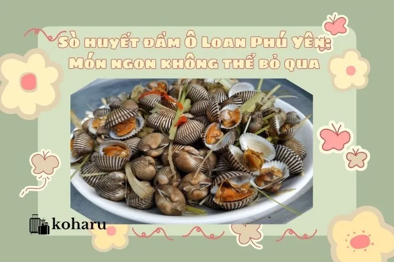 Sò huyết đầm Ô Loan Phú Yên: Món ngon không thể bỏ qua