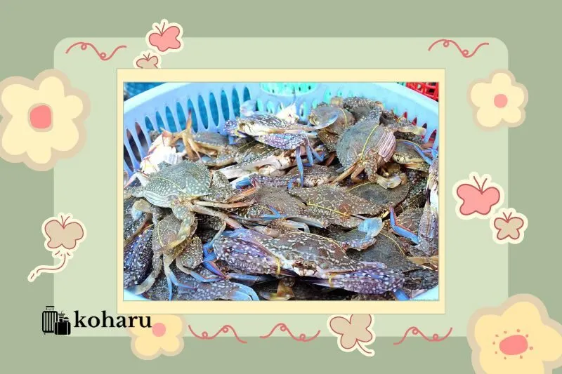 Tại sao ghẹ Sông Cầu Phú Yên lại được yêu thích?